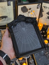 Image 1 of Black Gothic framed preserved web
