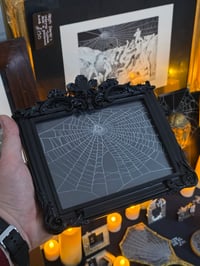 Image 1 of  Black Gothic framed preserved web - A