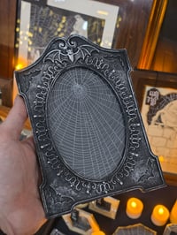 Image 1 of Bats- Gunmetal coloured frame - preserved web