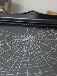 Image 2 of Black Gothic framed preserved web - B