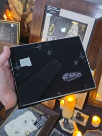 Image 3 of Black Gothic framed preserved web - B