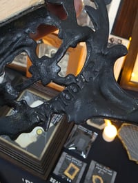 Image 4 of LARGE statement Antique Beatrice ornate frame with a real preserved web 