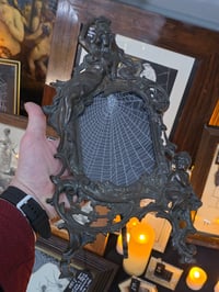 Image 1 of LARGE statement Antique Beatrice ornate frame with a real preserved web 