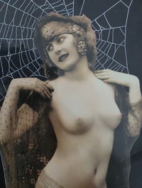 Image 2 of Erotic Art Collection -  with preserved spider web - A