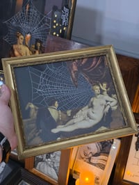 Image 2 of Mythology Collection "Venus" -  with preserved spider web 