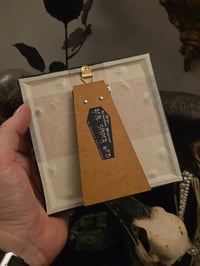 Image 2 of Victorian Cat Collection - 1800s Cat engravings with real preserved web- A