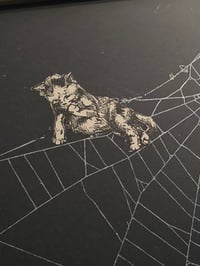 Image 2 of Victorian Cat Collection - 1800s Cat engravings with real preserved web- B