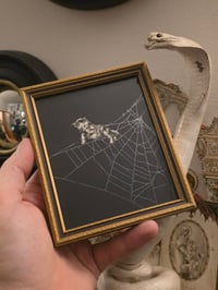 Image 1 of Victorian Cat Collection - 1800s Cat engravings with real preserved web- B