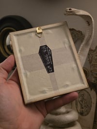 Image 3 of Victorian Cat Collection - 1800s Cat engravings with real preserved web- B