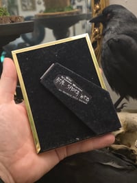 Image 2 of Victorian Cat Collection - 1800s Cat engravings with real preserved web- C