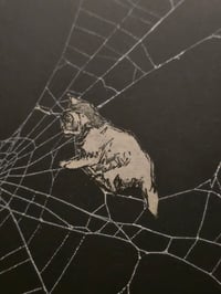 Image 3 of Victorian Cat Collection - 1800s Cat engravings with real preserved web- C