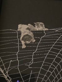 Image 1 of Victorian Cat Collection - 1800s Cat engravings with real preserved web- D