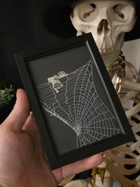 Image 2 of Victorian Cat Collection - 1800s Cat engravings with real preserved web- D