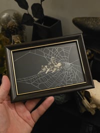 Image 2 of Victorian Cat Collection - 1800s Cat engravings with real preserved web- E