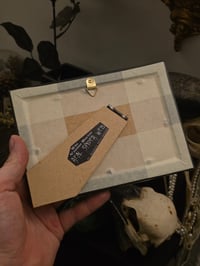 Image 3 of Victorian Cat Collection - 1800s Cat engravings with real preserved web- E