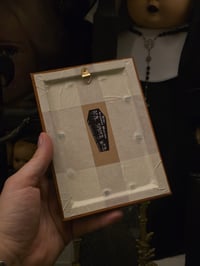 Image 3 of Victorian Cat Collection - 1800s Cat engravings with real preserved web- F