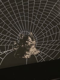 Image 2 of Victorian Cat Collection - 1800s Cat engravings with real preserved web- G