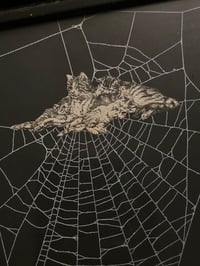 Image 2 of Victorian Cat Collection - 1800s Cat engravings with real preserved web- H