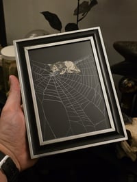 Image 2 of Victorian Cat Collection - 1800s Cat engravings with real preserved web- I