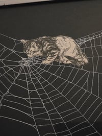 Image 1 of Victorian Cat Collection - 1800s Cat engravings with real preserved web- I