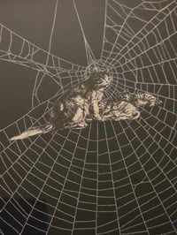 Image 1 of Victorian Cat Collection - 1800s Cat engravings with real preserved web- J