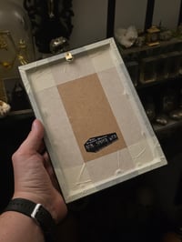 Image 3 of Victorian Cat Collection - 1800s Cat engravings with real preserved web- J