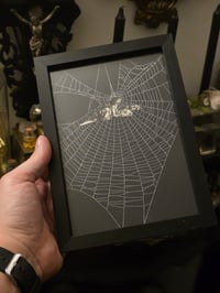 Image 2 of Victorian Cat Collection - 1800s Cat engravings with real preserved web- J