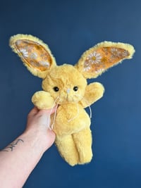 Image 1 of Pollen the Bunny 