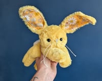 Image 2 of Pollen the Bunny 