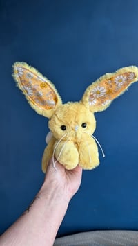 Image 4 of Pollen the Bunny 