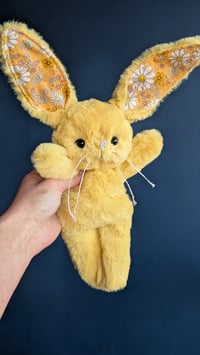 Image 3 of Pollen the Bunny 