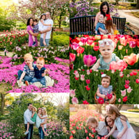  Spring Minis 4/30 (Lilacs) 