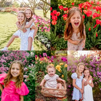  Spring Minis 5/3 (Lilacs)