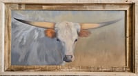 Texas Longhorn
