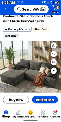 Couch/Furniture