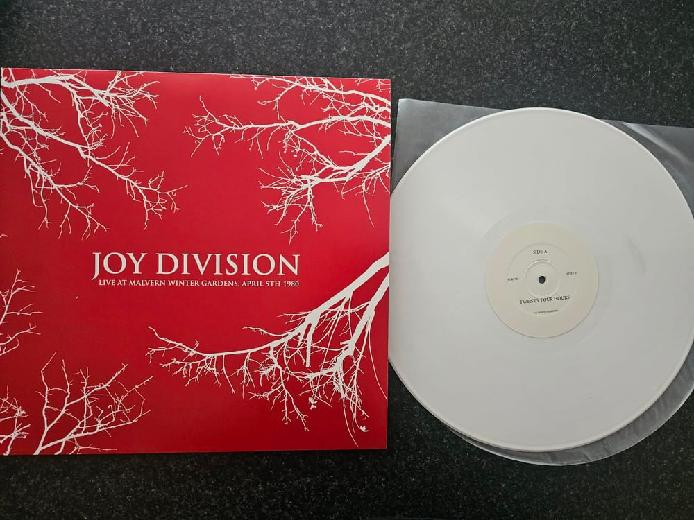 Image of JOY DIVISION TWENTY FOUR HOURS LP COLOURED VINYL