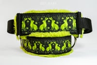 Image 5 of Sitting Hares