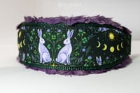 Image 1 of Custom Tapered Collar