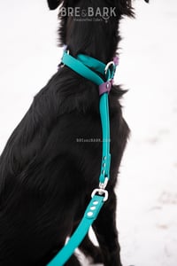 Image 3 of Custom French Martingale Lead