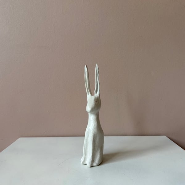 Image of Long Ear Hare B