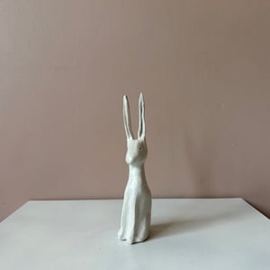 Image of Long Ear Hare B