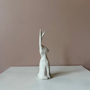 Image of Long Ear Hare B