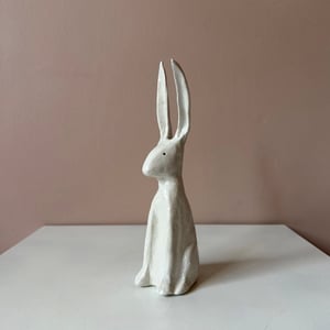 Image of Long Ear Hare E