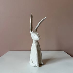 Image of Long Ear Hare E