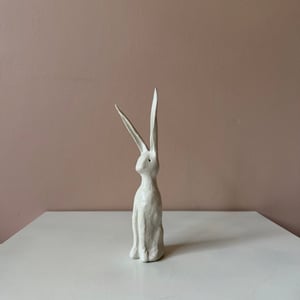 Image of Long Ear Hare C