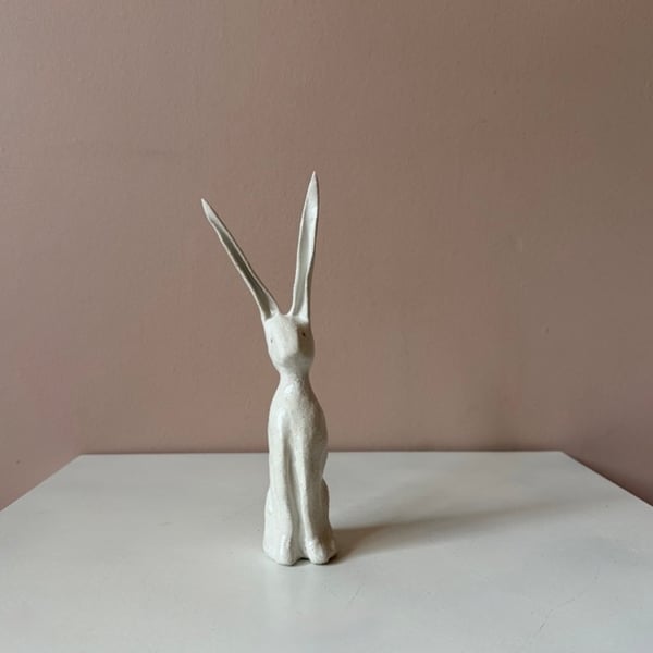 Image of Long Ear Hare C