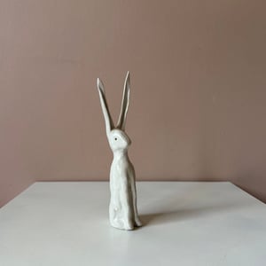 Image of Long Ear Hare C