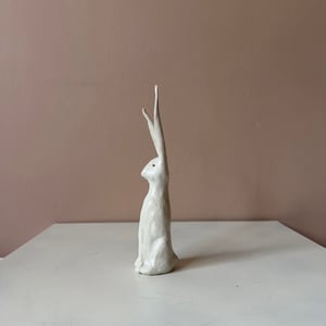 Image of Long Ear Hare C