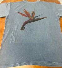 Image 4 of LA NATIVE California Poppy