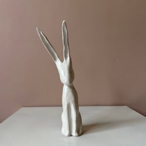 Image of Long Ear Hare F